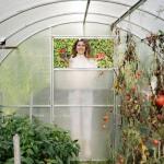 Zimowe zioła pod folią: zbuduj niski mini‑tunel w weekend – tanio i skutecznie