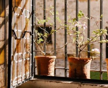 Lekkie, a wytrzymałe: pomysły na donice z włókna szklanego do ogrodu i wnętrz