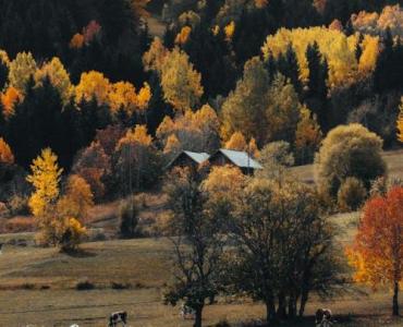 Jesień w odcieniach malin: inspirujące aranżacje z liśćmi, które ocieplą Twoje wnętrze