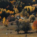 Jesień w odcieniach malin: inspirujące aranżacje z liśćmi, które ocieplą Twoje wnętrze