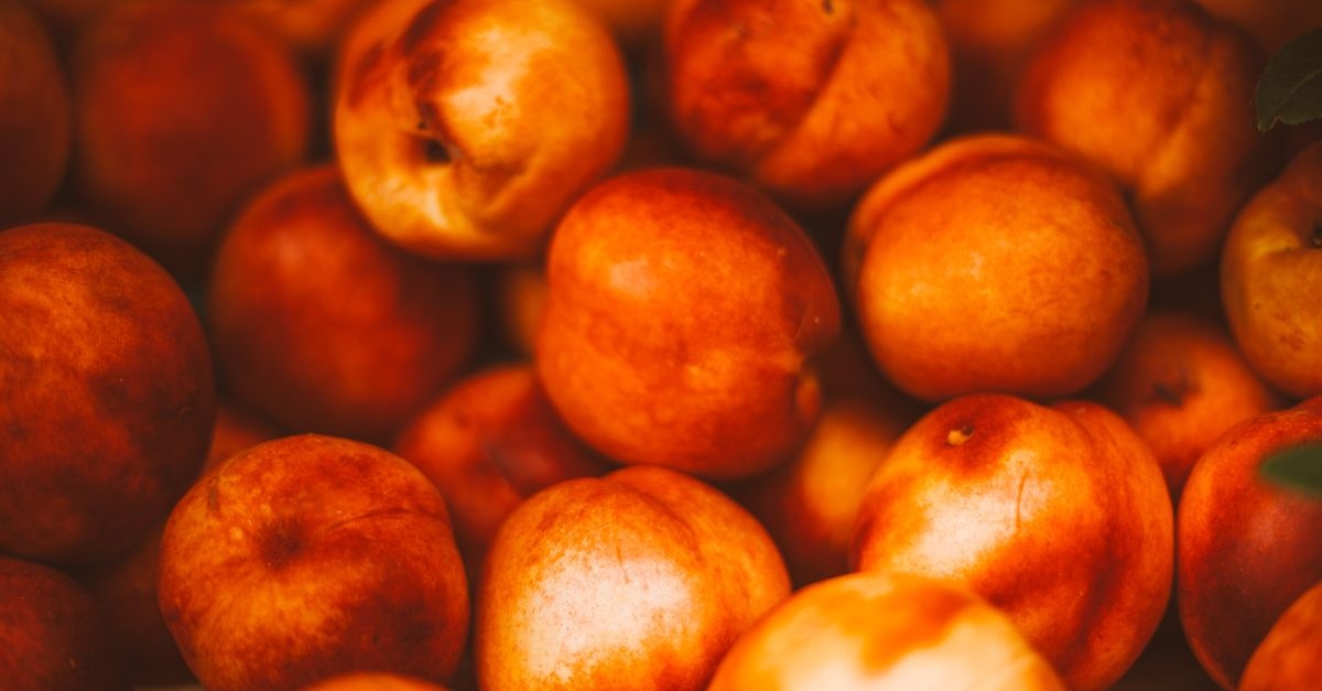 Mini sad na balkonie: brzoskwinie i nektaryny w donicach krok po kroku