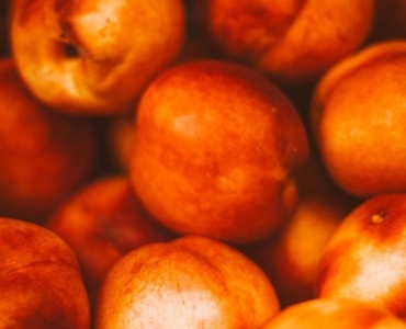 Mini sad na balkonie: brzoskwinie i nektaryny w donicach krok po kroku