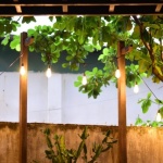 Mosiężny szyk na żwirze: 10 pomysłów na nastrojowe oświetlenie ogrodowych ścieżek