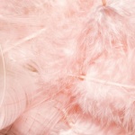 Piórkowa magia na półkach: 15 stylowych pomysłów z naturalnych piór, które dodadzą wnętrzu lekkości